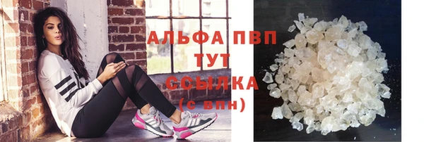 первитин Богданович