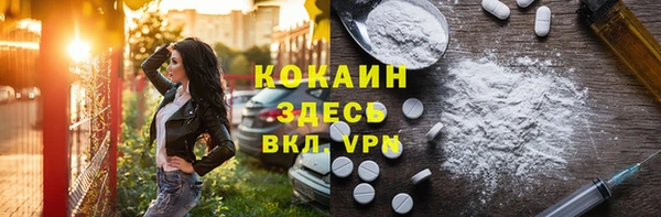 первитин Богданович